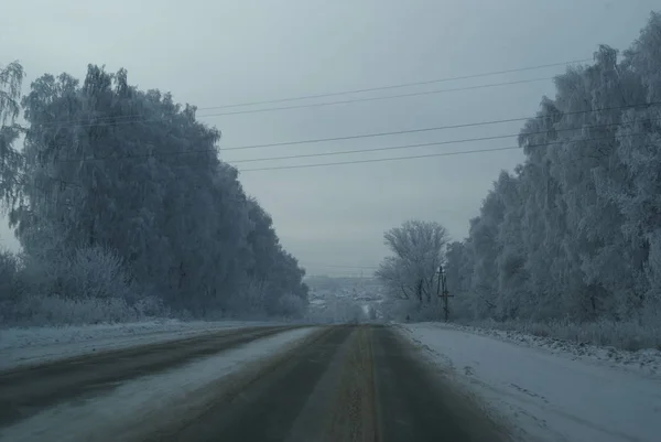 Зимняя Грязная Дорога Снежными Деревьями — стоковое фото