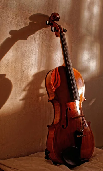 Vieux Violon Sous Soleil Été — Photo