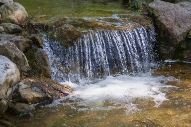 Ormana akışında küçük cascade