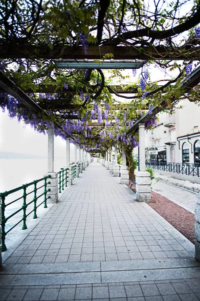 Around Lake Maggiore, Italian lake.