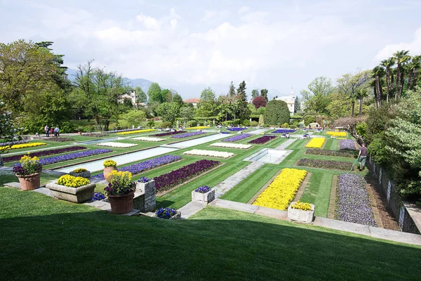 Big Park Beautiful Flowers — Stock Photo, Image