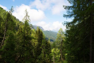 İtalya, Paluzza 'dan Tersadia Dağı.