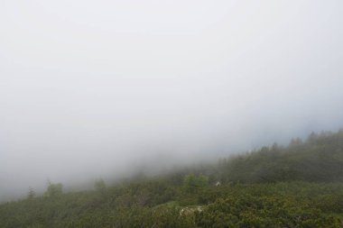 İtalya, Paluzza 'dan Tersadia Dağı.