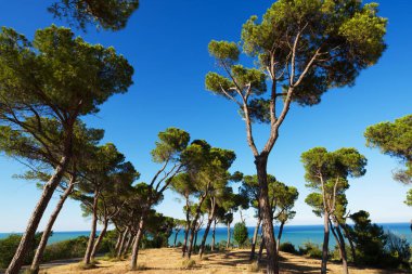 İtalya 'nın ortasında sakin bir köyde rahatlayın.