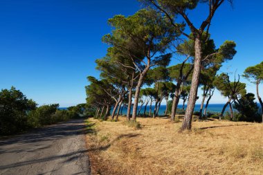 İtalya 'nın ortasında sakin bir köyde rahatlayın.