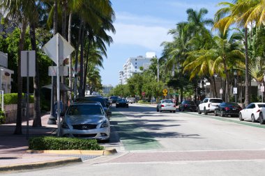 South Beach, Miami Beach 'in güney ucunda canlı bir mahalledir. Güzel plajları, Art Deco mimarisi ve canlı gece hayatıyla tanınan South Beach, dünyanın dört bir yanından gelen turistler için popüler bir yerdir..