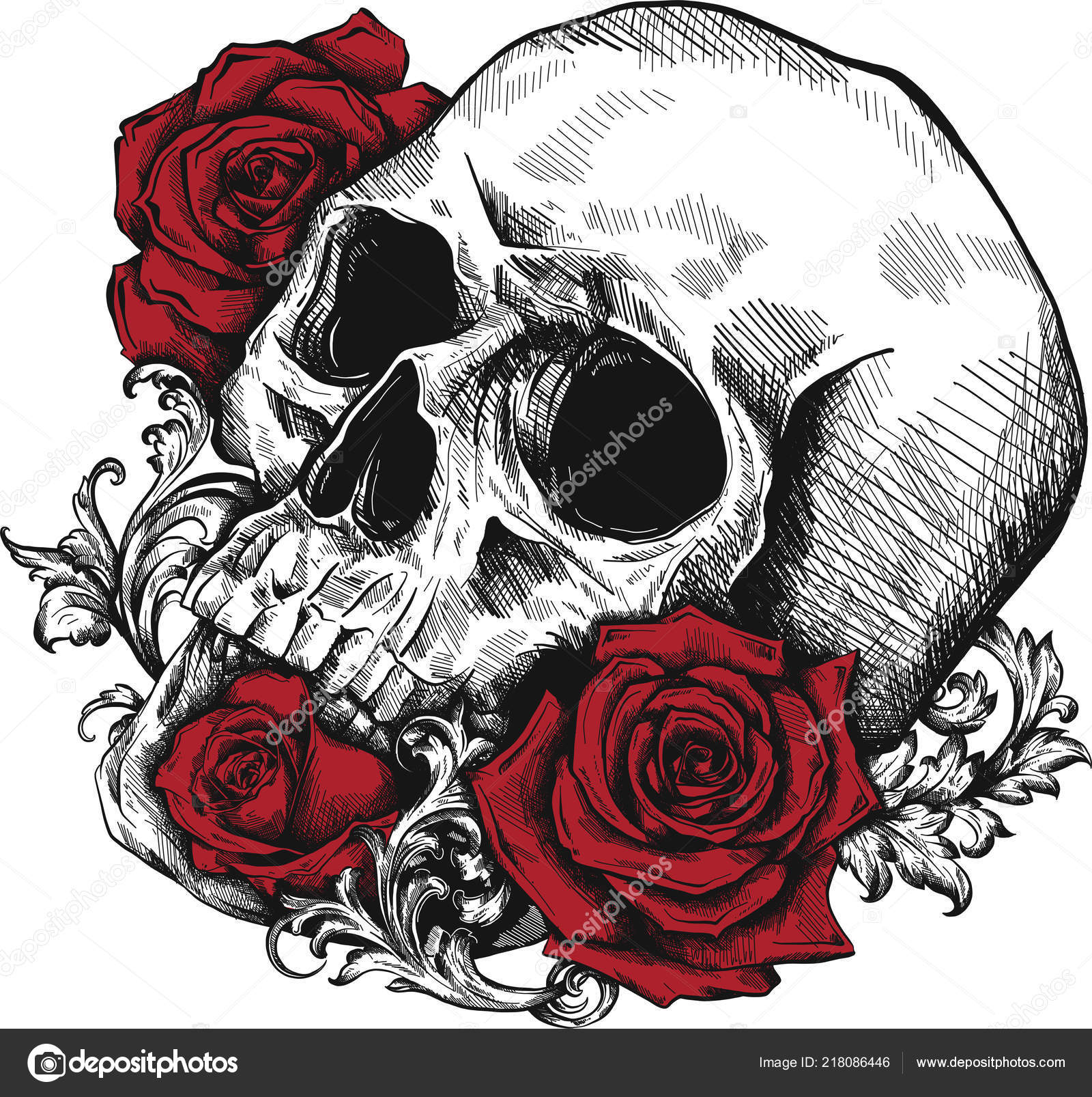 Skull and roses Stock Photos, Royalty Free Skull and roses Images |  Depositphotos