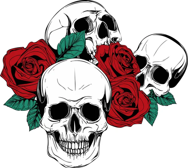 Cráneo Con Rosas Sobre Fondo Blanco — Vector de stock