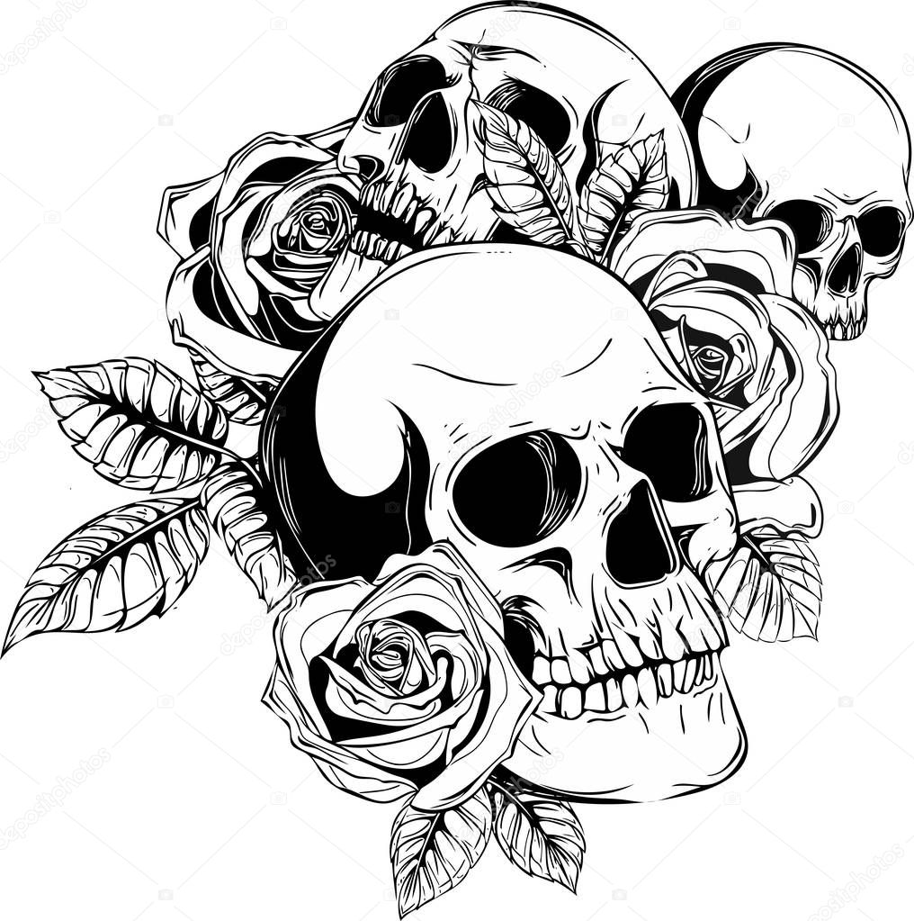 A skulls with roses on white background