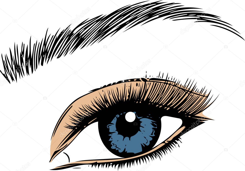 Eye on white background. Eyes art. Woman eye. The eye logo. Eyes art. Human eye.