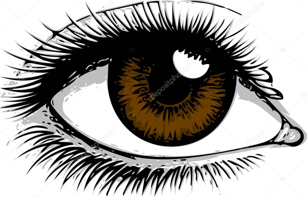 Eye on white background. Eyes art. Woman eye. The eye logo. Eyes art. Human eye