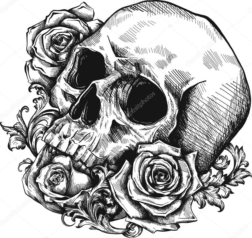 A skull with roses on white background