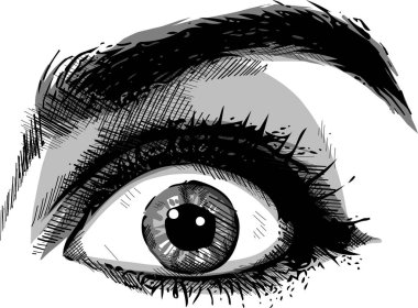 Yakın çekim yüz güzel mavi gözleri ve büyük güzel kirpik ve kaşların güzel genç kadının korkuttu. İnsan gözü - sürpriz ya da fotoğraf makinesi vasıl bakarak şok, makro.