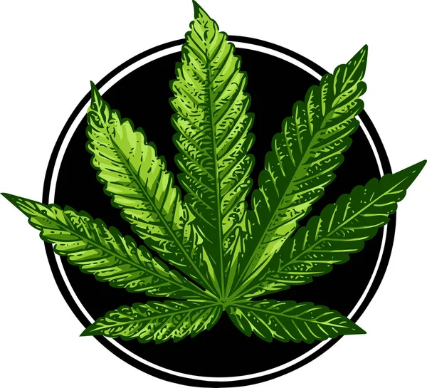 Illustration Signe Cannabis Vecteur Icône Vert Foncé — Image vectorielle