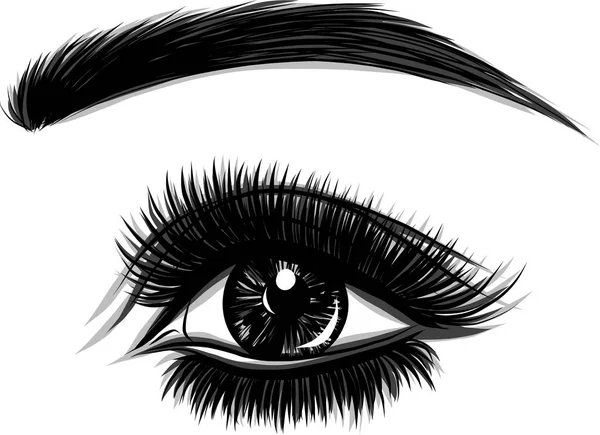 眼睛在白色背景 女人的眼睛 眼睛的标志 眼睛艺术 眼睛特写 — 图库矢量图片