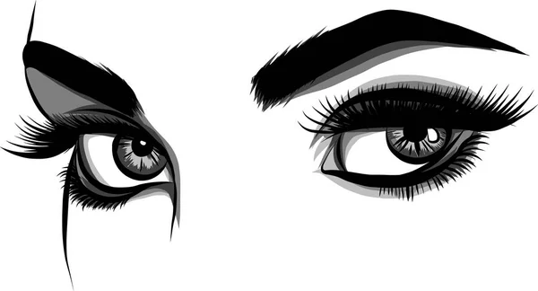 Ojos Mujer Detallados Con Pestañas Largas Ilustración Sobre Fondo Blanco — Archivo Imágenes Vectoriales