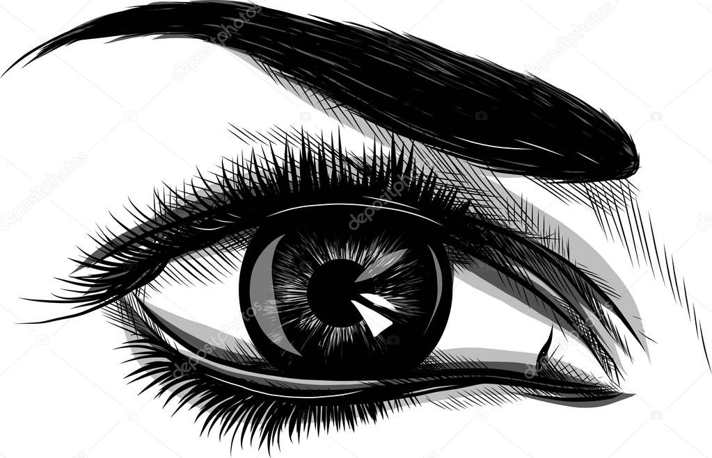 Eye on white background. Woman eye. The eye logo. Eyes art. Human face, eye close up - vector
