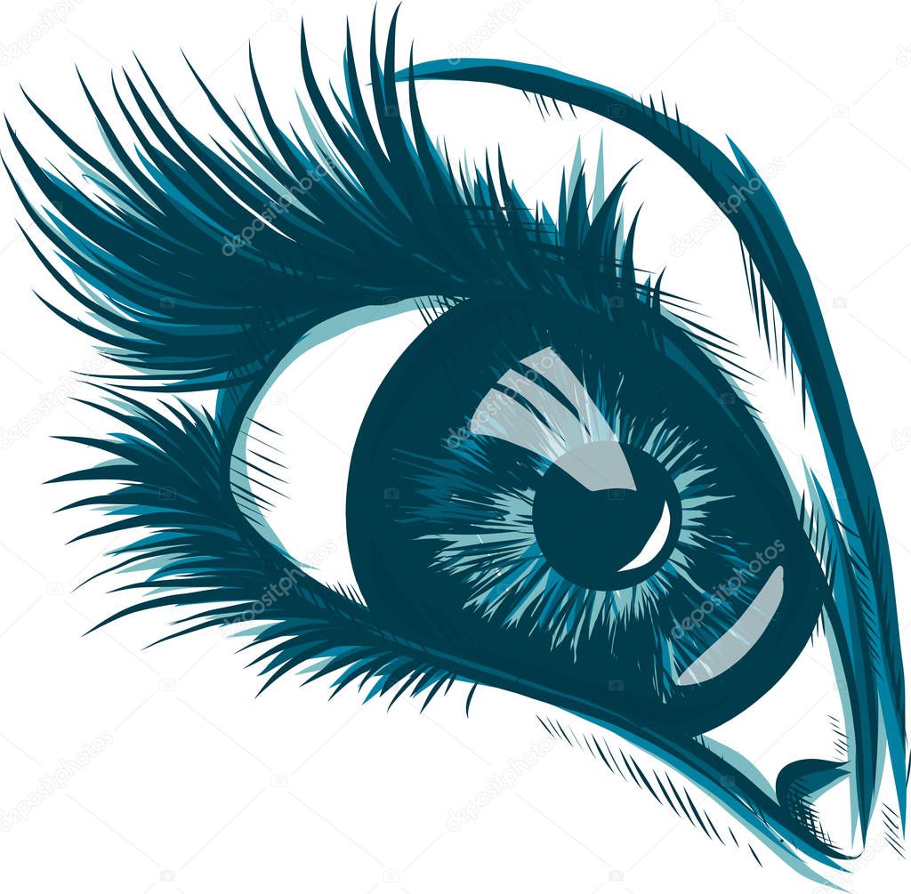 Eye on white background. Woman eye. The eye logo. Eyes art. Human face, eye close up - vector