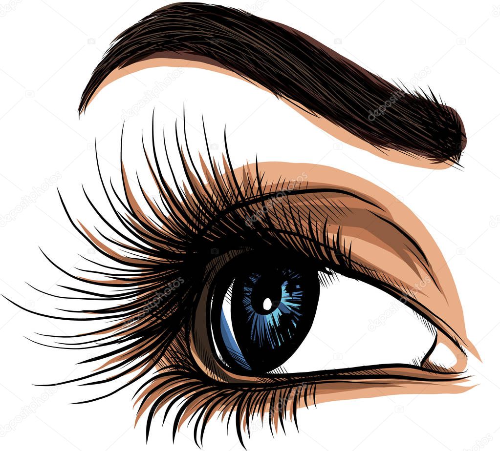 Eye on white background. Woman eye. The eye logo. Eyes art. Human face, eye close up - vector