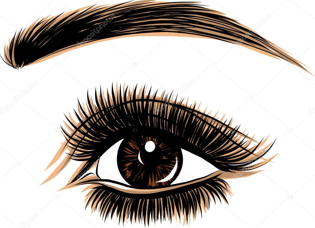 Eye on white background. Woman eye. The eye logo. Eyes art. Human face, eye close up - vector