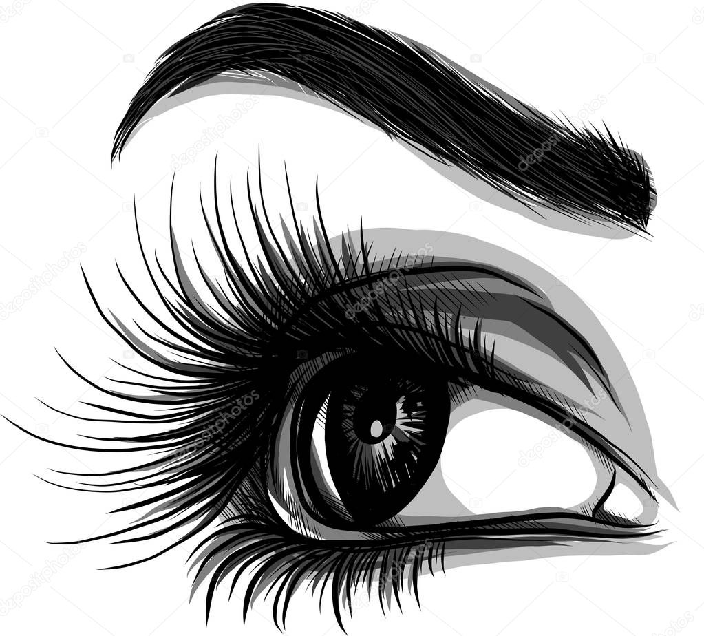 Eye on white background. Woman eye. The eye logo. Eyes art. Human face, eye close up - vector