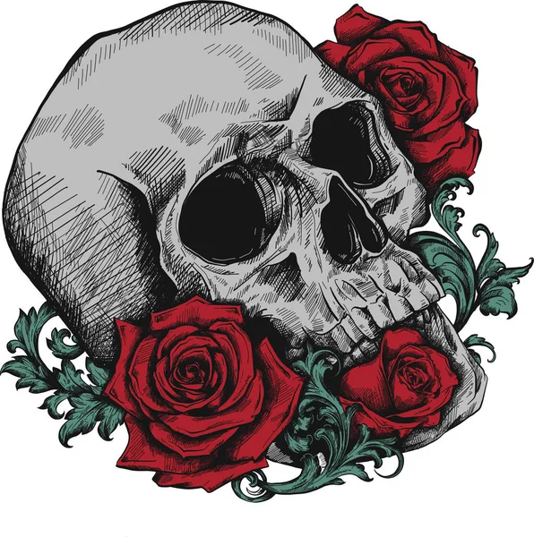 Cráneo Con Rosas Sobre Fondo Blanco — Foto de Stock