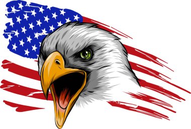 American eagle ABD bayrağı ve beyaz arka plan karşı vektör