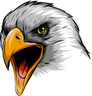 vector illustration a Eagle Head mascot in the white background clipart