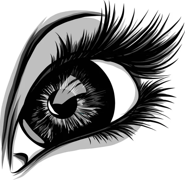 Ojo Sobre Fondo Blanco Ojo Mujer Logo Del Ojo Ojos — Vector de stock