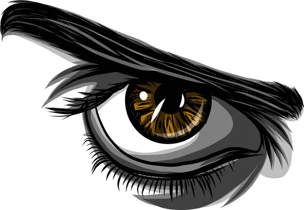 Detaljerade Kvinna Ögon Med Långa Ögonfransar Illustration Vit Bakgrund — Stock vektor