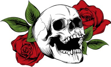 Çiçekli kafatası, güllü. Elle çizim. Vektör