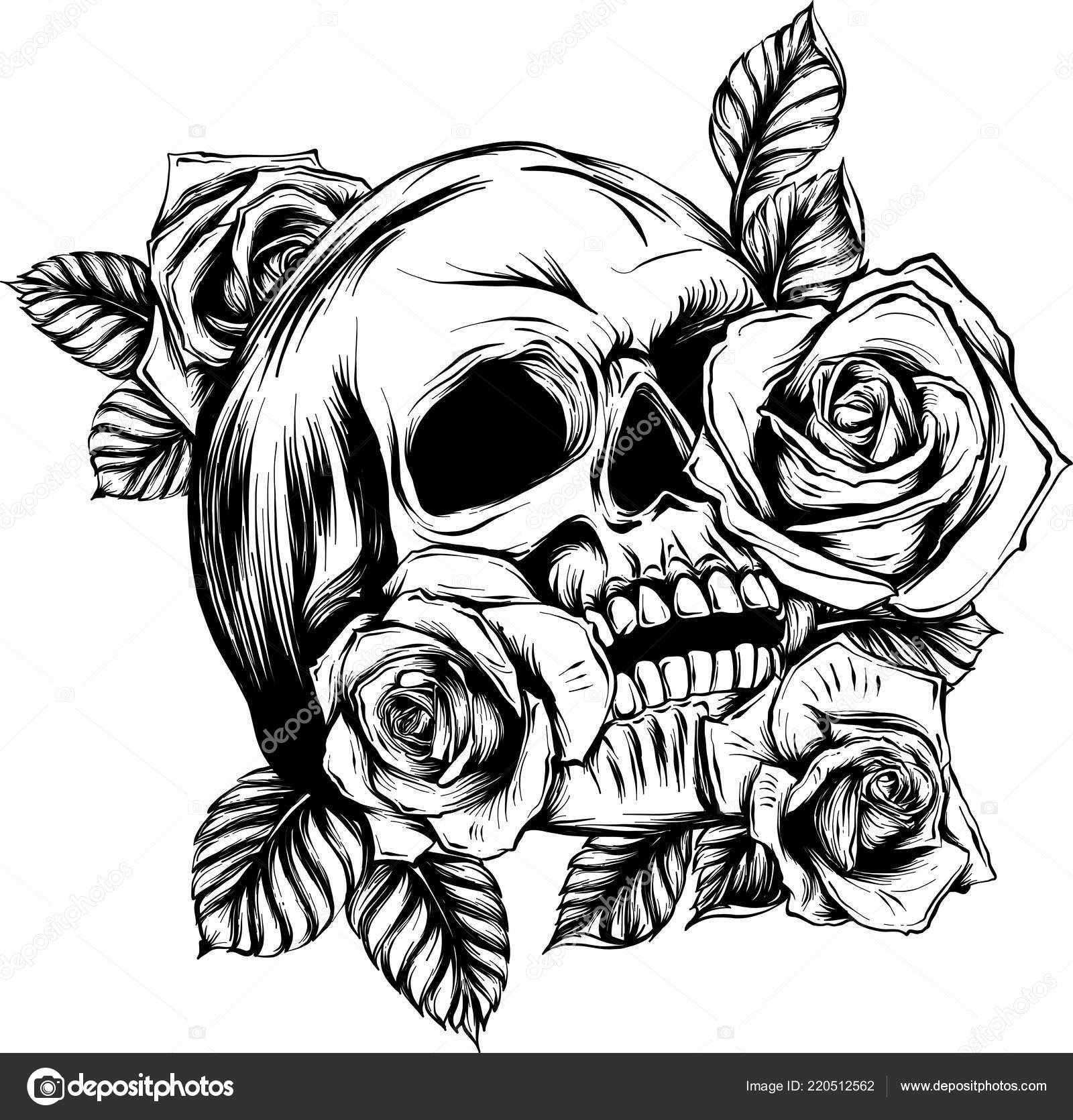 Calavera con rosas imágenes de stock de arte vectorial | Depositphotos