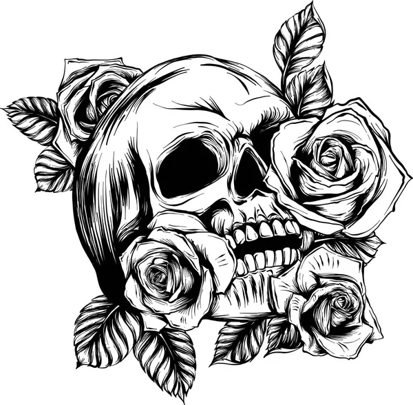 头盖骨 白色背景的玫瑰 — 图库矢量图片