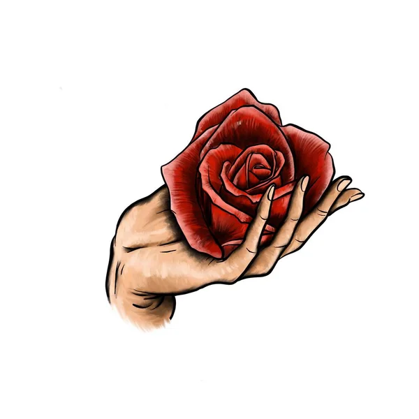 Hand Give Red Rose Illustration — Stock Photo, Image