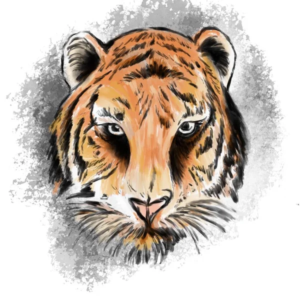 illustration Tiger Eyes Mascot Graphic