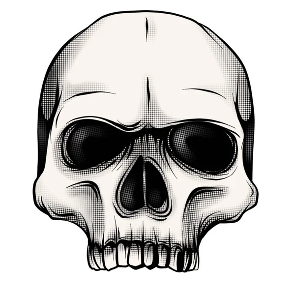 Black White Illustration Human Skull Lower Jaw Ink Hand Drawn — Stock Photo, Image