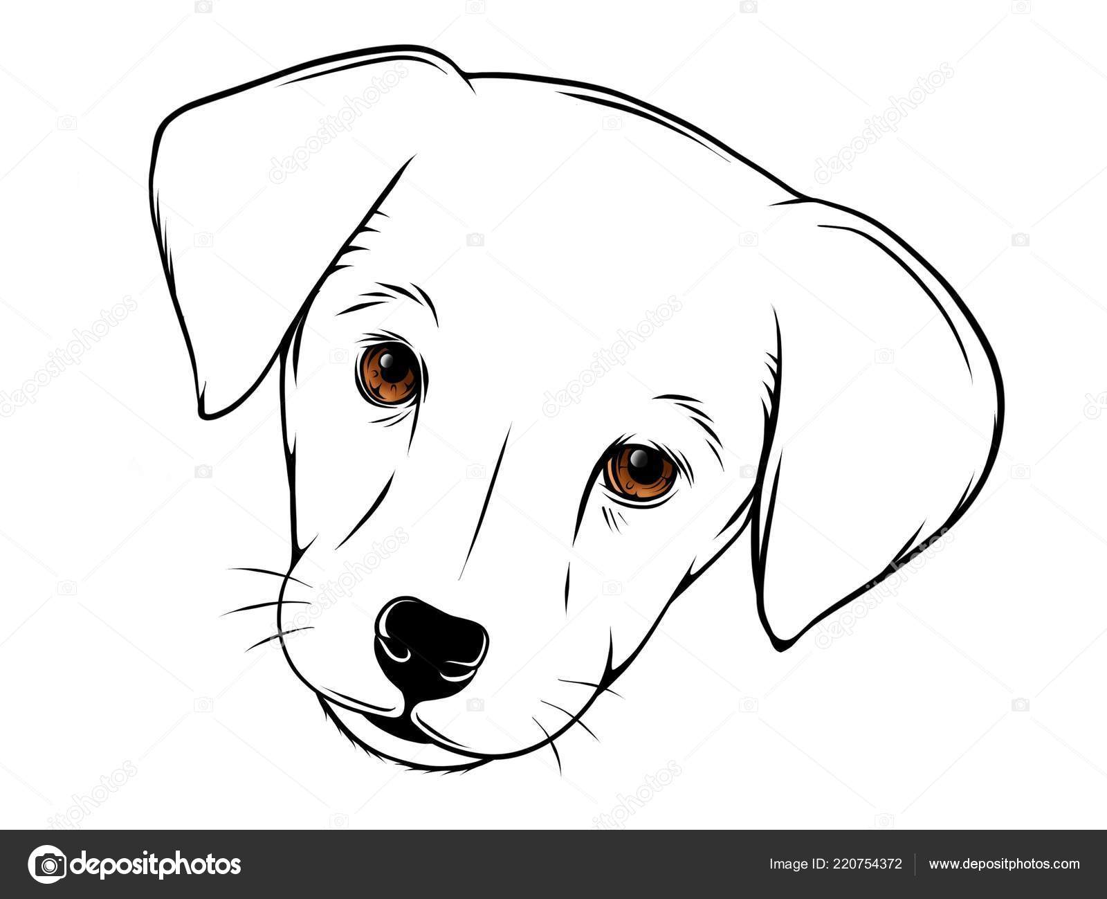 Silhouette Simple Tête Chien Illustration — Illustration de stock par  ©deanzangir@gmail.com - 220754372, image size:1600x1299