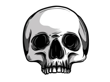 siyah ve beyaz mürekkep elle çizilmiş bir alt çenedeki ile insan kafatası gösterimi