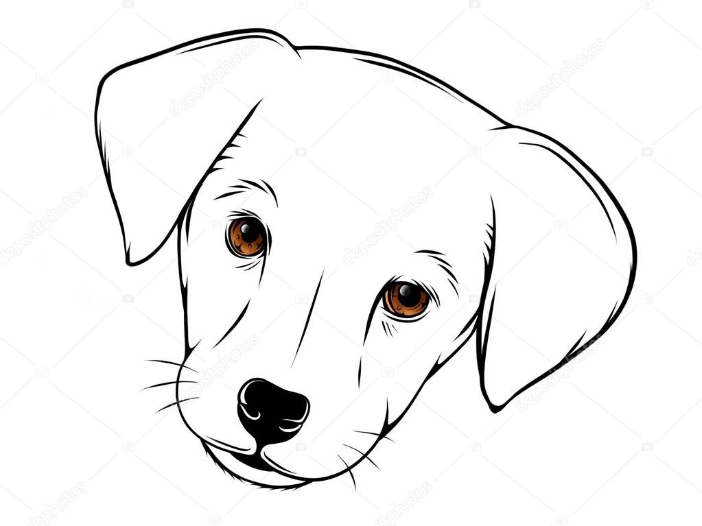 Silhouette simple head dog.  illustration
