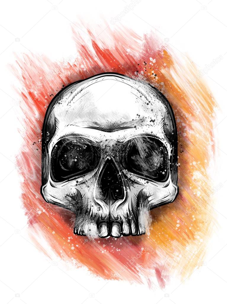 Skull on Fire Flames Illustration