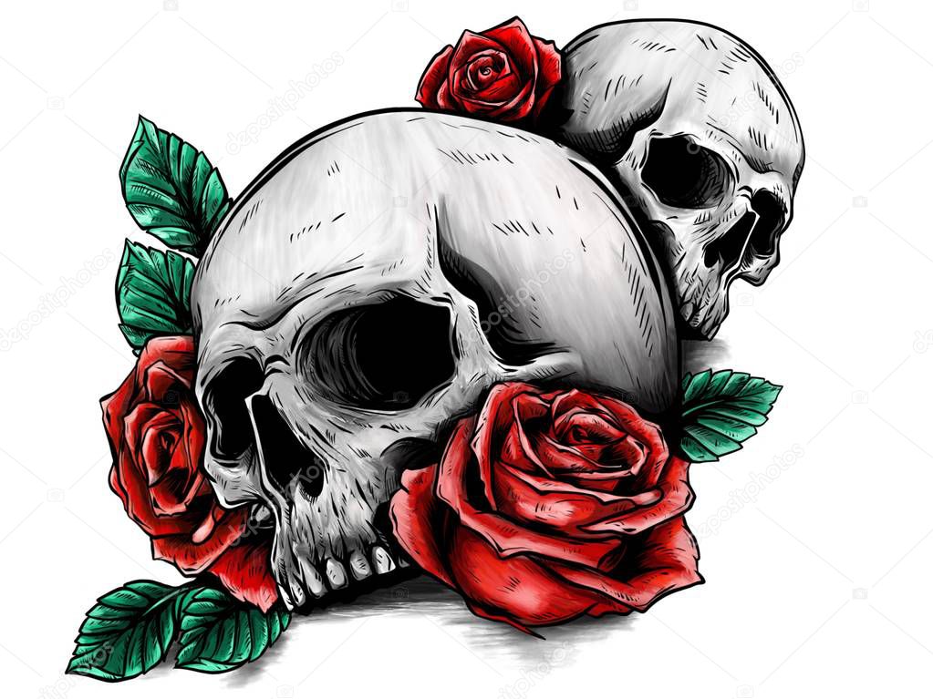 Totenkopf Mit Blumen Mit Rosen Zeichnen Von Hand — Stockfoto