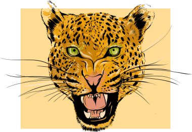 Leopar portre. Kızgın vahşi büyük kedi kafası. Sevimli yüzü dişleri bared karikatür tarzı olan Afrika agresif Predator t-shirt baskı tasarım