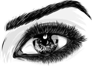 Makyajlı güzel kadın gözleri