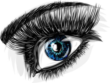 Makyajlı güzel kadın gözleri