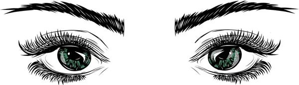 Mulheres Bonitas Olhos Com Maquiagem —  Vetores de Stock