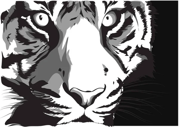 Black White Vector Sketch Tiger — Stock Vector