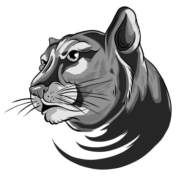 Cougar Panther Mascot Head Vector Graphic