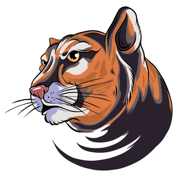 Cougar Panther Mascot Head Vector Graphic — Stock Vector