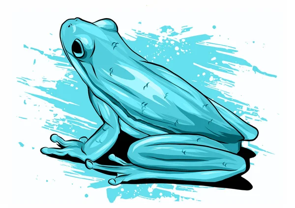 Illustartion Vecteur Dessin Grenouille Verte — Image vectorielle