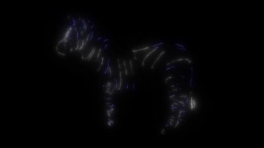 siyah arka planda lazerler ile oluşturulur zebra